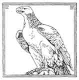 ÁGUILA
La reina de las aves, es conocida como símbolo de poder y de fuerza guerrera. Dibujo y adaptación de Ex libris personal sobre el original