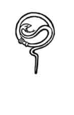 Serpiente decorativa. Mucha. Dibujo y adaptación de Ex libris personal sobre el original