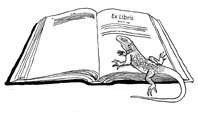 LAGARTO. El Lagarto simboliza el alma que busca la luz, cuando la encuentra se mantiene en un extásis contemplativo del que no desea distraerse.Diseño Ex Libris Personal