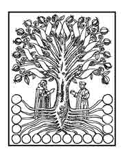 El árbol del conocimiento. Ramón Llull