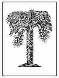 LA PALMERA . Nada engendra la palmera que no sea provechoso. W.H. Barón de Von Hohberg. 1675. Dibujo y adaptación de Ex libris personal sobre el original 